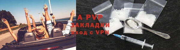 твердый Заводоуковск