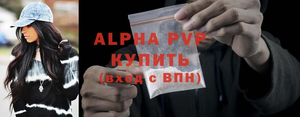 твердый Заводоуковск