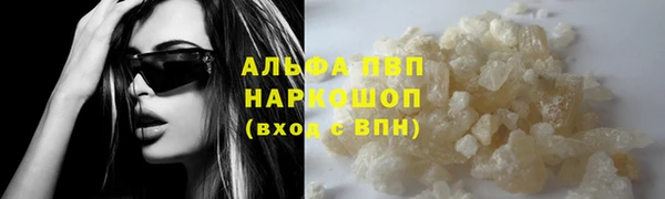 твердый Заводоуковск