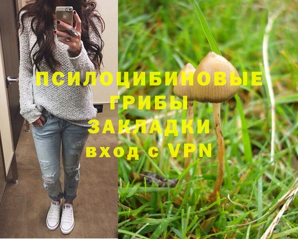 герыч Зеленокумск