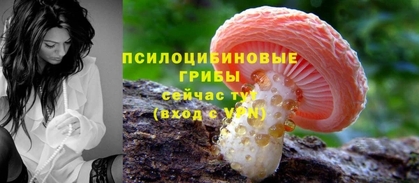 герыч Зеленокумск