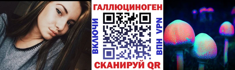 Купить закладки  Верея  Галлюциногенные грибы Cubensis 